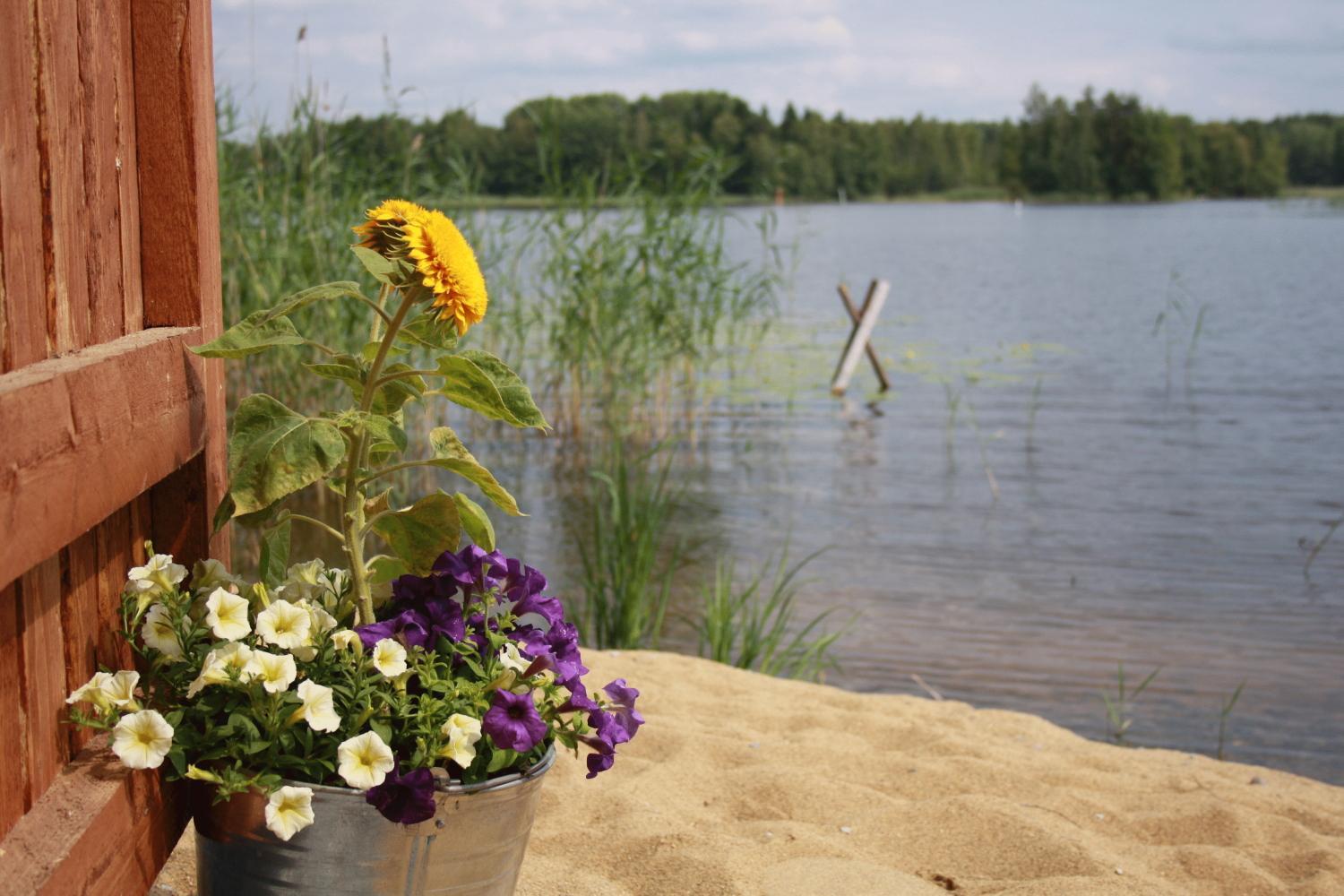 Kyyhkylae Hotel And Manor Миккели Экстерьер фото